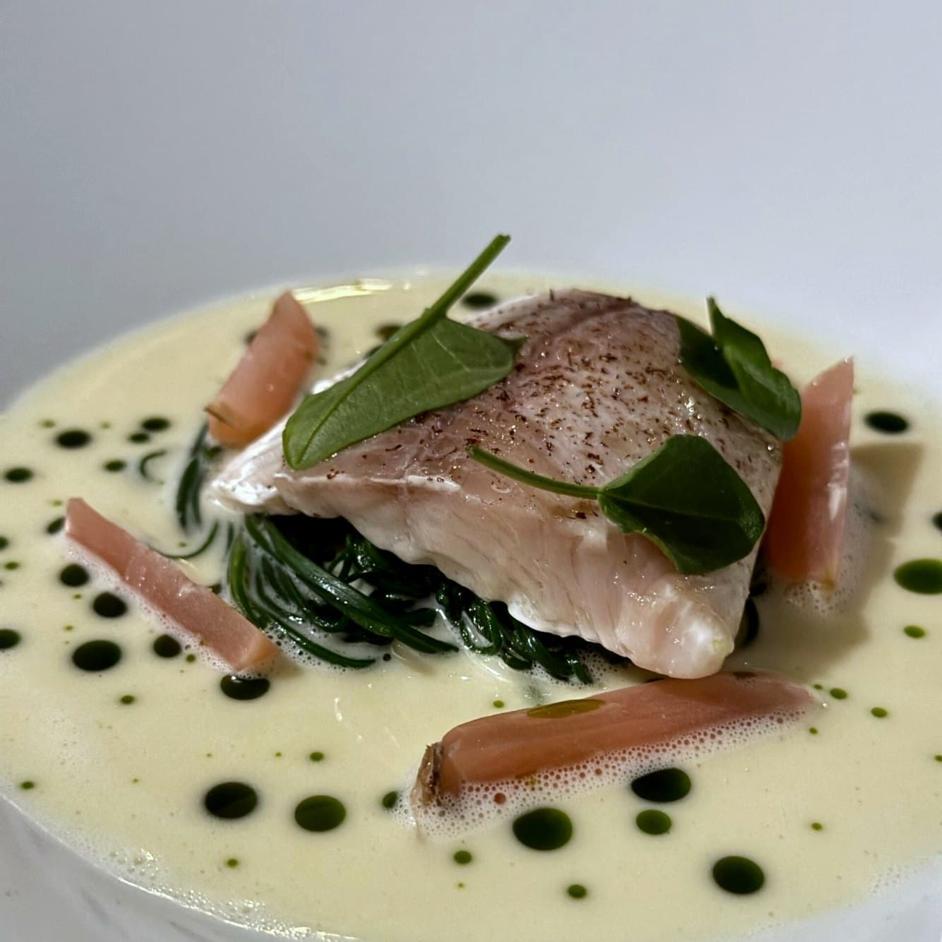Filet de poisson, sauce blanche, feuilles d’herbes et points d’huile verte